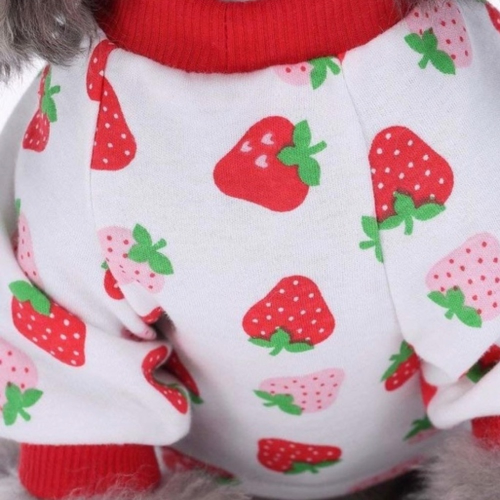 PET FASHION - Picture 6 of 6